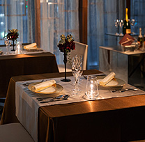 The Suite GINZA